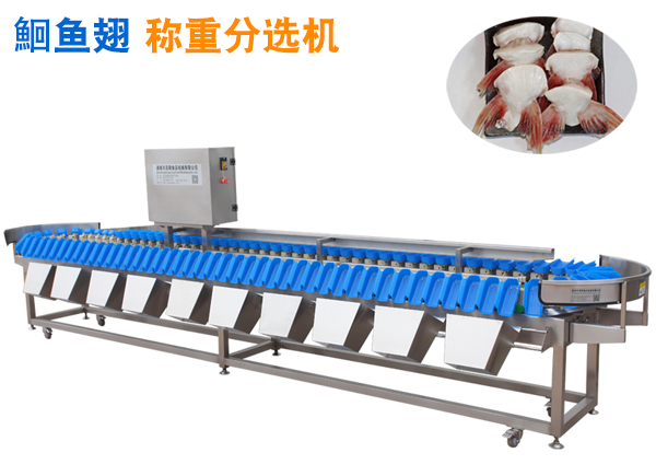 鮰魚翅分選機(jī) 巴沙魚鰭分選機(jī) 肥油龍利魚魚翅 魚翅分選機(jī) 魚下巴分選機(jī)